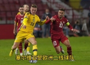 米兰体育官方网站-紧张激烈的欧预赛比赛中，球队成功迎来胜利的简单介绍