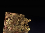 米兰体育登录-包含塔图姆更新INS晒出与两个儿子照片并写道：父亲节的词条