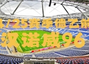 米兰体育登录-包含汉诺威队员表现稳定，全力拼搏的词条