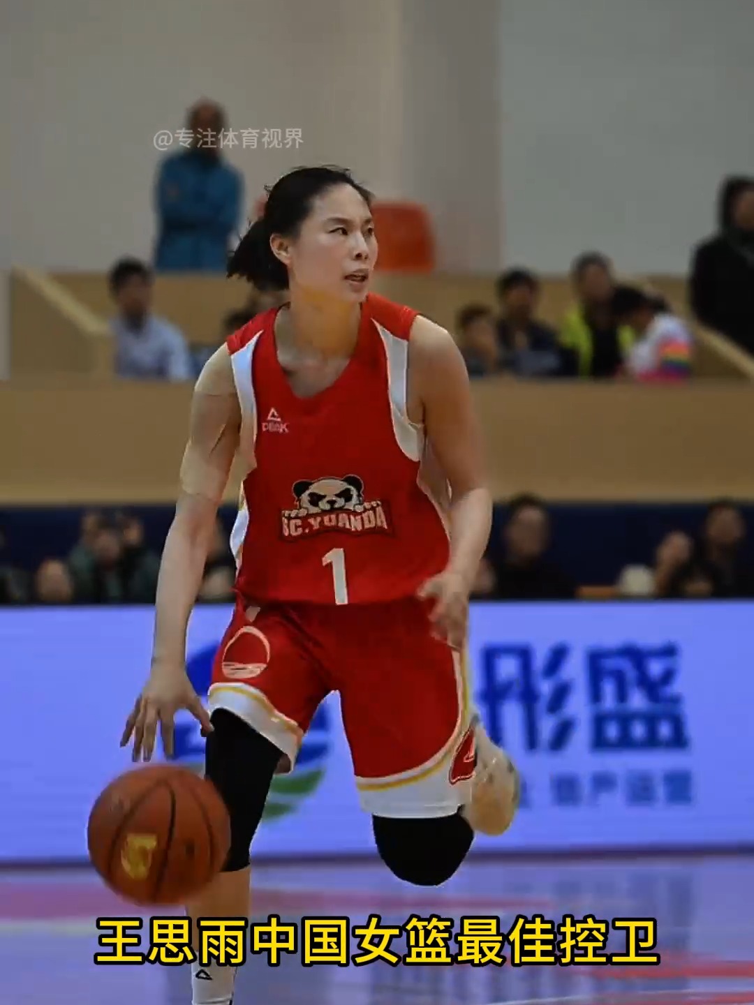 王思雨22年女篮世预赛个人集锦，对阵美国砍17分6助攻的简单介绍